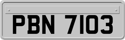 PBN7103