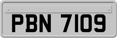 PBN7109