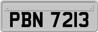 PBN7213