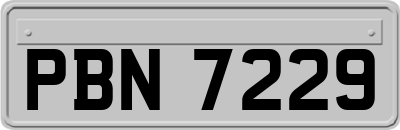 PBN7229