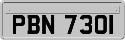 PBN7301