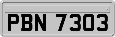 PBN7303