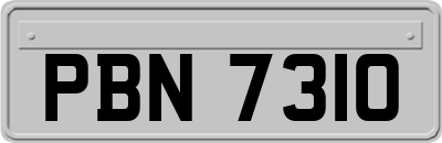 PBN7310