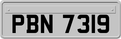 PBN7319