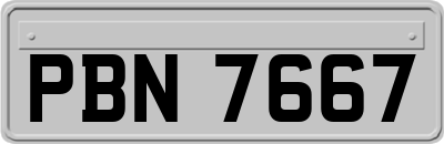 PBN7667