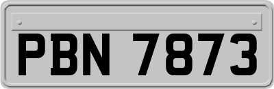 PBN7873