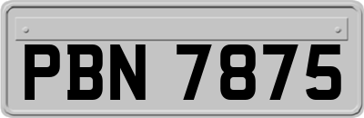 PBN7875