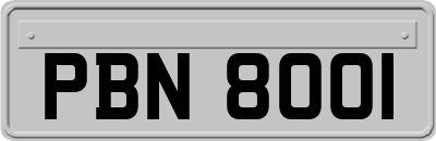 PBN8001