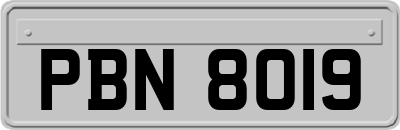 PBN8019