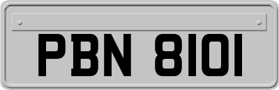 PBN8101