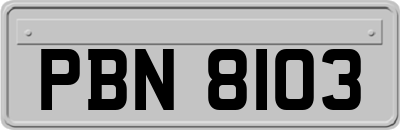 PBN8103