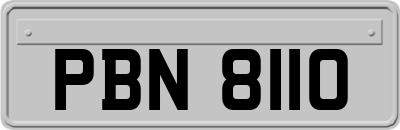 PBN8110