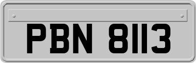 PBN8113