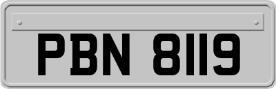 PBN8119