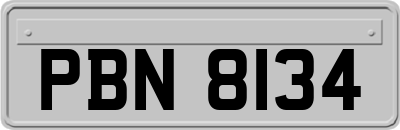 PBN8134