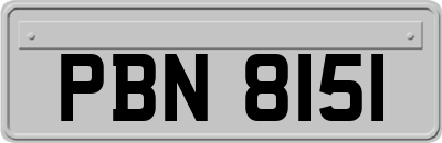 PBN8151