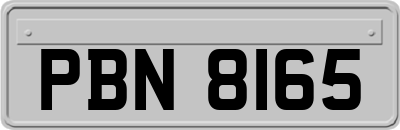 PBN8165