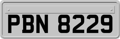 PBN8229