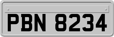 PBN8234