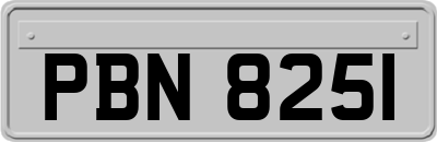 PBN8251