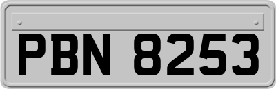 PBN8253