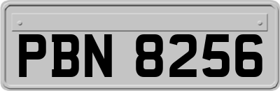 PBN8256