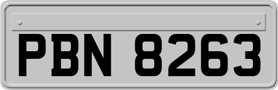 PBN8263