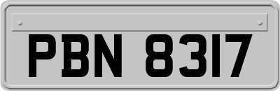 PBN8317