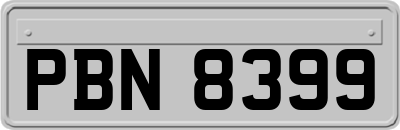 PBN8399