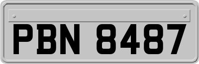 PBN8487