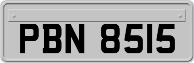 PBN8515