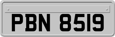 PBN8519