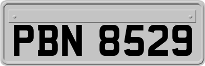 PBN8529