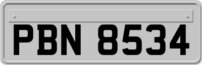 PBN8534