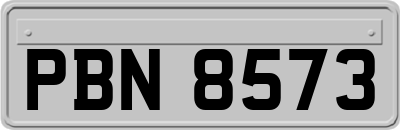 PBN8573