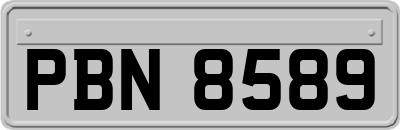 PBN8589