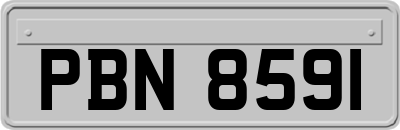 PBN8591