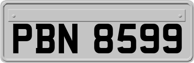 PBN8599