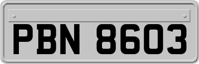 PBN8603