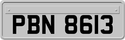 PBN8613