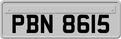 PBN8615