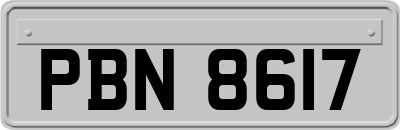 PBN8617