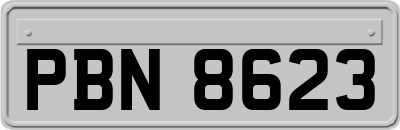 PBN8623