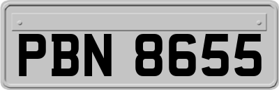 PBN8655