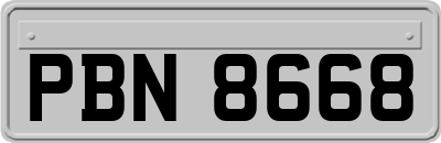 PBN8668