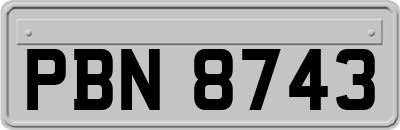 PBN8743