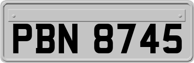 PBN8745