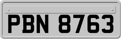 PBN8763