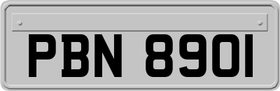 PBN8901