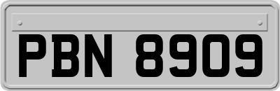 PBN8909